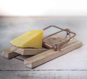 The Social Security Tax Trap