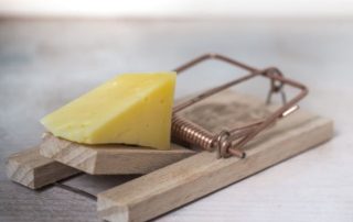 Avoiding the Social Security Tax Trap