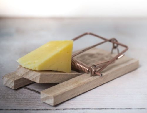 The Social Security Tax Trap